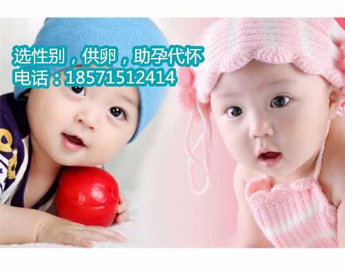 上海哪家医院做试管苏州高龄试管借卵子成功率技术好一点
