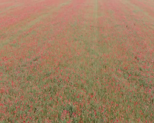 苏州高龄试管供卵成功率,孕前男科检查费用
