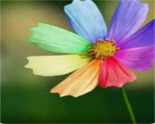 促排针、排卵针、破卵针有什么区别