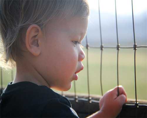 石家庄供卵试管费用多少，2026河北供卵试管费用预估