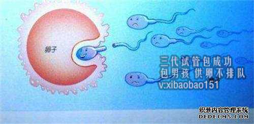 苏州代怀生子成功经验,1郑州三附院做试管婴儿的优势：